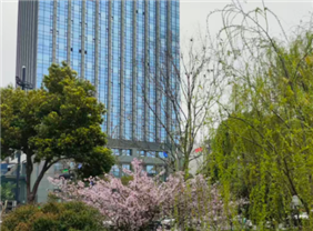 数据要素赋能新型工业化 培育数字经济创新型企业